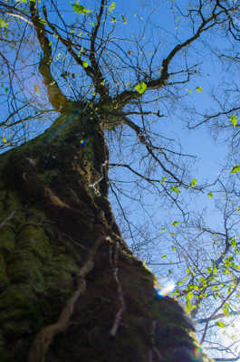 grandeur et décadence