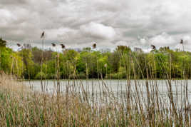 En attendant l'orage...