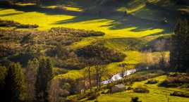 "et au milieur coule une rivière"