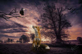 le corbeau et le renard