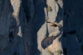 De l'ombre à la lumière...