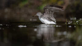 Préparation au décollage
