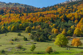 Symphonie de couleurs