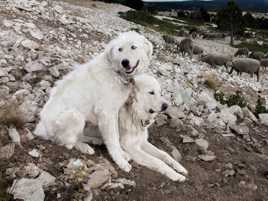 En voilà d'autres 2