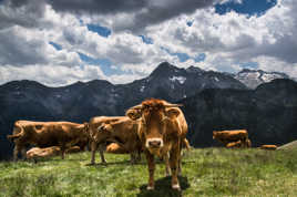 Derrière la colline