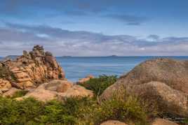 Les merveilles de la nature