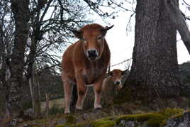 "Bin, t'es qui donc toi?"