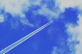 en vol dans le ciel bleu