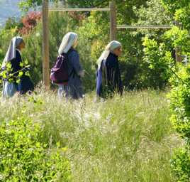 Toutes voiles dehors