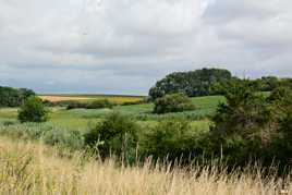Campagne libre et sauvage