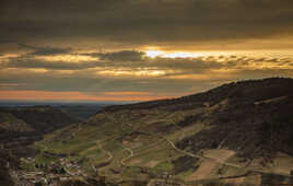 Vignes de Cerdon