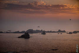 Il est l heure de rentrer