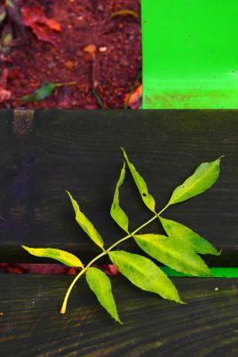 Posée là par hasard