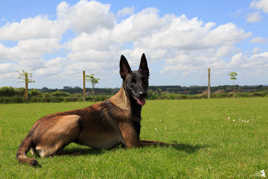 Mon plus beau Profil