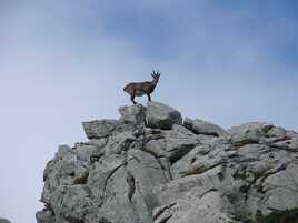 Je t ai attendue longtemps...