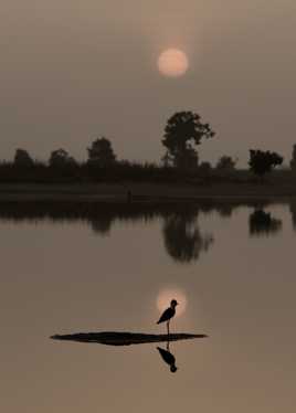 Un super Phot'instant  !!