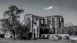 Abbaye d' Aulne 3N