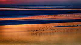 Les couleurs du dortoir