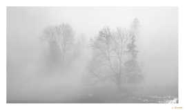 Brume hivernale