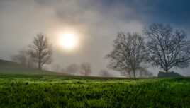 Brume matinale !