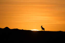 Nouvelle journée au Kenya