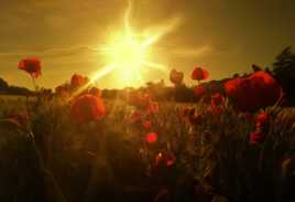 Un été dans le sud-est de la France ...