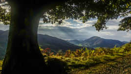 Un beau matin ......