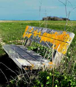 Le banc mousse...