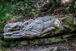 La licorne a l' œil vif.