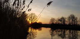 Coucher de soleil sur la Dombe