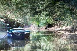 Marais de la Grande Brière