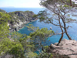 Porquerolles sud