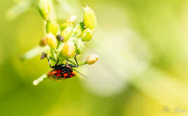 Comme le monde....à l'envers