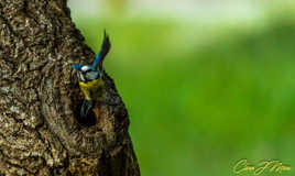 Je vais au ravitaillement