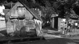 Ma cabane en basse Terre