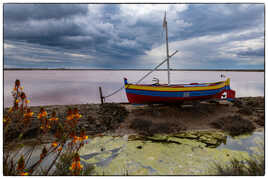 les salins de Gruissan