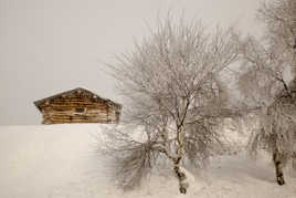 ma cabane