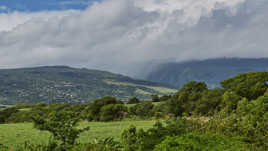 Que la nature est belle