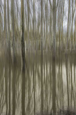 Lorsque les cours d 'eau déborde