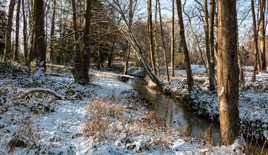 La Salmouille à Saint-Antoine