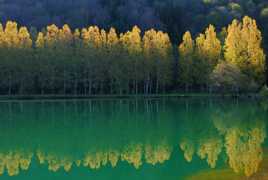 Reflet lac