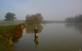 Pour aller à la pêche.
