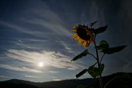 4h34, fin du rendez-vous avec la lune.