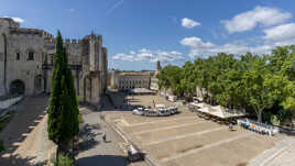 Palais des papes et son petit train