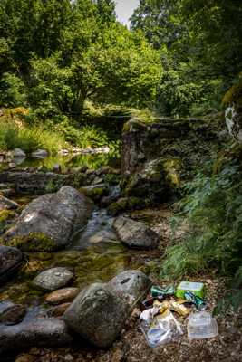 La belle et la bête