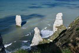 Les dents de la mer