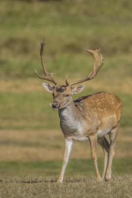 hummm c etait bien bon