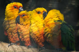 allez les gilets jaunes !!!!!