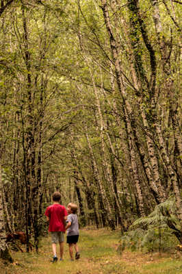 Promenons nous dans les bois...