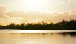 Lumière d'un soir en hiver